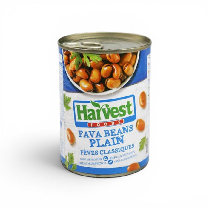 Plain Fava Beans - 400 gram