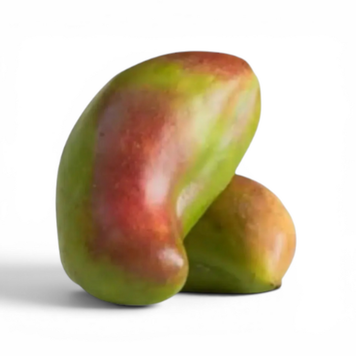 Mango Sedeqa ~3k (Shipping 19.08)